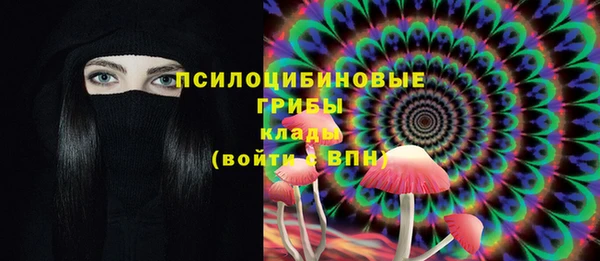 гидропоника Арсеньев
